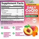 coq10-gummies-for-adults-coenzyme-q10-10-2.jpg