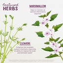 wishgarden-herbs-kidney-strength-organic-4.jpg