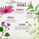 wishgarden-herbs-daily-immune-builder-or-4.jpg