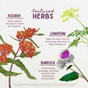 wishgarden-herbs-get-over-it-immune-supp-4.jpg