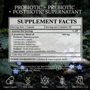 supernatant-synbiotic-prebiotic-probioti-4.jpg