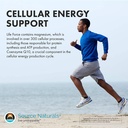 source-naturals-men-s-life-force-multipl-6.jpg