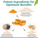 pure-nutrition-curcumin-turmeric-supplem-4.jpg