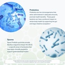 youtheory-spore-probiotic-gummies-supple-5.jpg