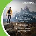 naturesplus-ultra-rx-joint-180-tablets-p-3.jpg