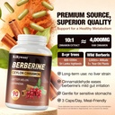 berberine-supplement-berberine-with-ceyl-4.jpg