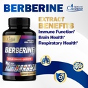 organic-cadane-berberine-supplement-with-4.jpg