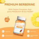berberine-gummies-1200mg-with-ceylon-cin-5.jpg