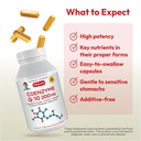 andrew-lessman-coenzyme-q-10-200-mg-30-c-4.jpg