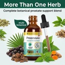 prostavec-advanced-prostate-support-supp-6.jpg