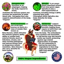 anti-aging-immune-support-organic-human--5.jpg