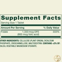 spring-valley-folate-dietary-supplement--2.jpg
