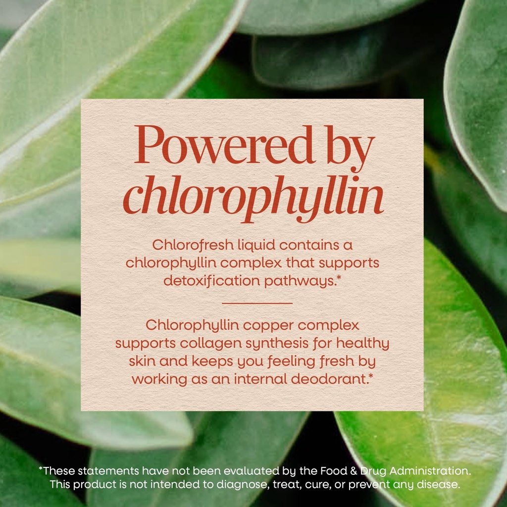 nature-s-way-chlorofresh-liquid-chloroph-4.jpg