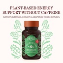 herbs-etc-chloroxygen-chlorophyll-concen-2.jpg