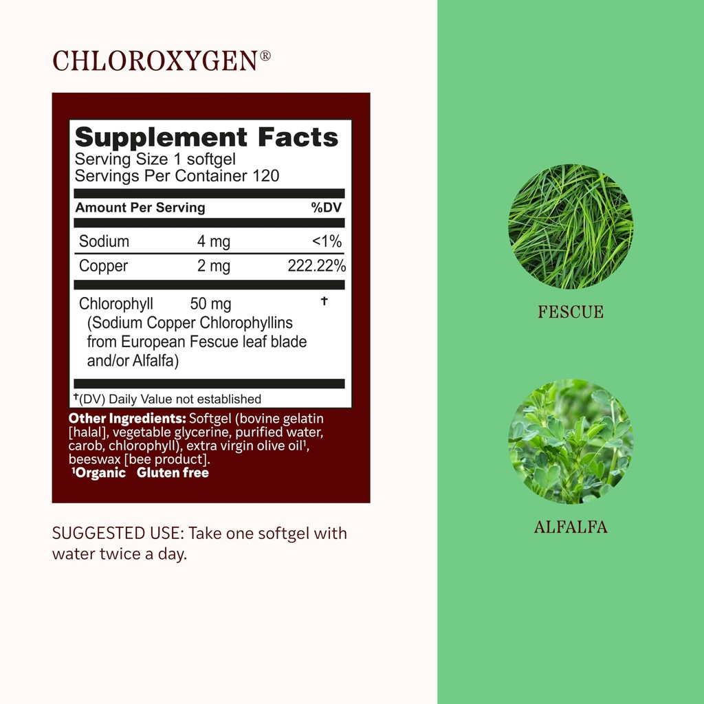 herbs-etc-chloroxygen-chlorophyll-concen-3.jpg