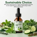 2-pack-chlorophyll-liquid-drops-for-wome-2.jpg
