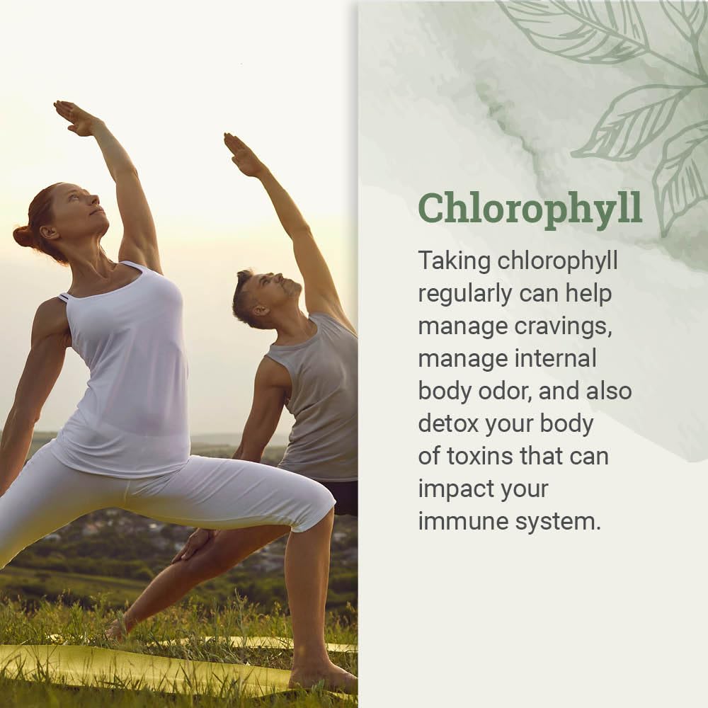 earth-harmony-liquid-chlorophyll-liquid--2.jpg