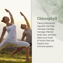 earth-harmony-liquid-chlorophyll-liquid--2.jpg