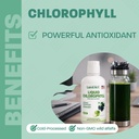 liquid-chlorophyll-apple-flavored-cold-e-4.jpg