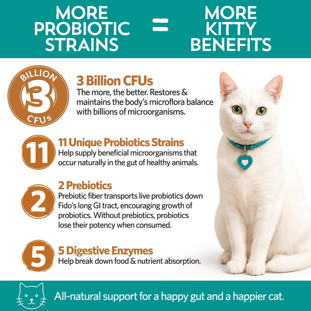 meowbiotics-good-guts-for-cats-probiotic-3.jpg