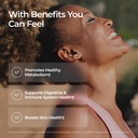 livingood-daily-pre-pro-post-biotics-ble-5.jpg