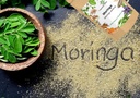 moringa-powder-moringa-leaf-powder-glute-3.jpg