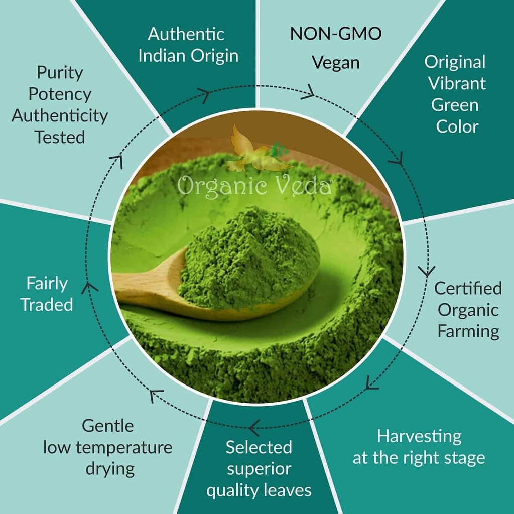 ats-moringa-leaf-powder-200-grams-7-oz-3.jpg
