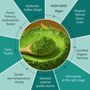 ats-moringa-leaf-powder-200-grams-7-oz-3.jpg