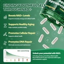 liposomal-nad-supplement-with-nicotinami-4.jpg