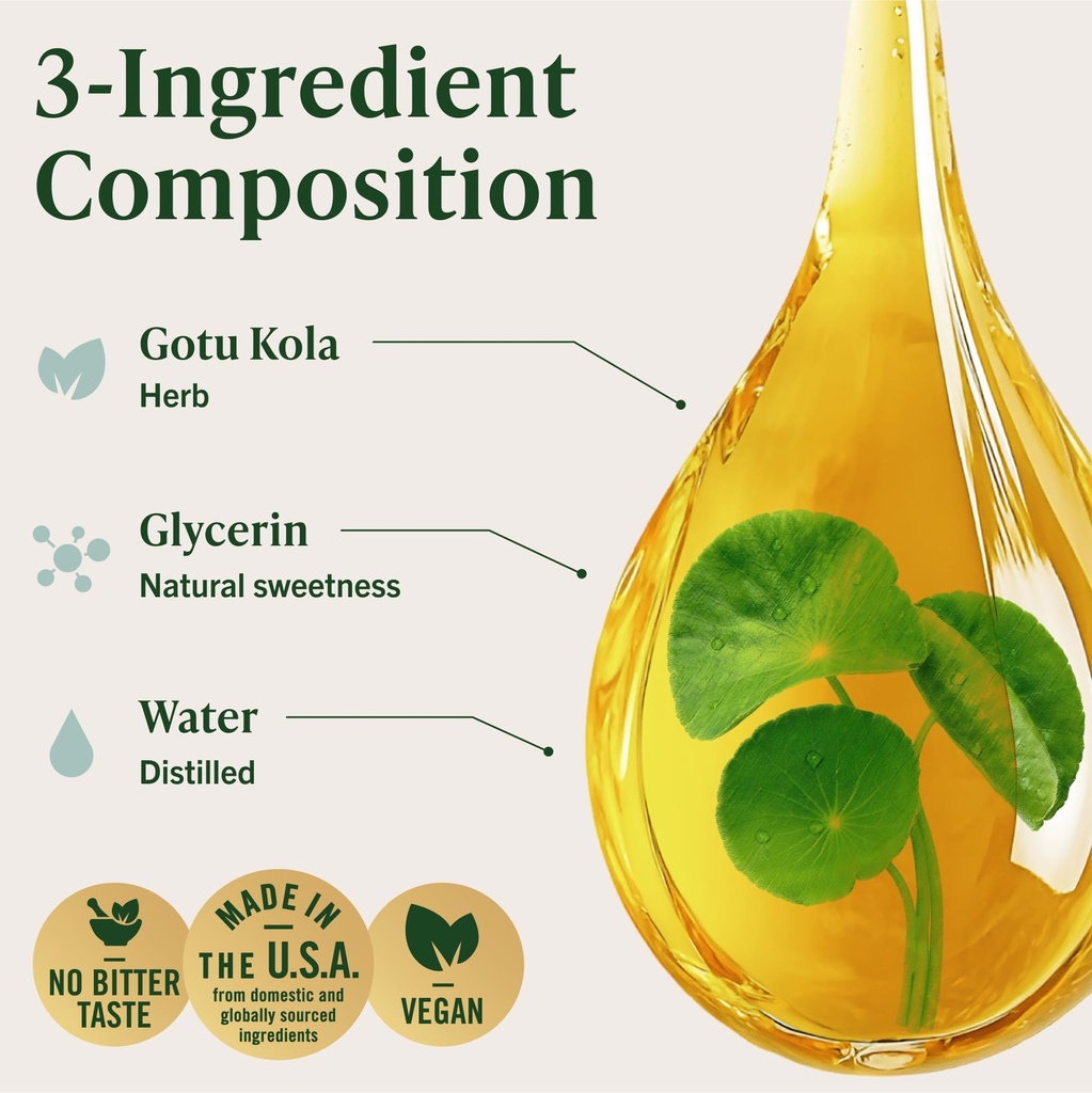 herbamama-gotu-kola-tincture-vegan-brain-4.jpg