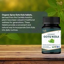 organic-spree-gotu-kola-120-tablets-cent-4.jpg