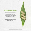 secrets-of-the-tribe-gotu-kola-120-capsu-2.jpg
