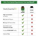 herb-essential-organic-gotu-kola-centell-4.jpg