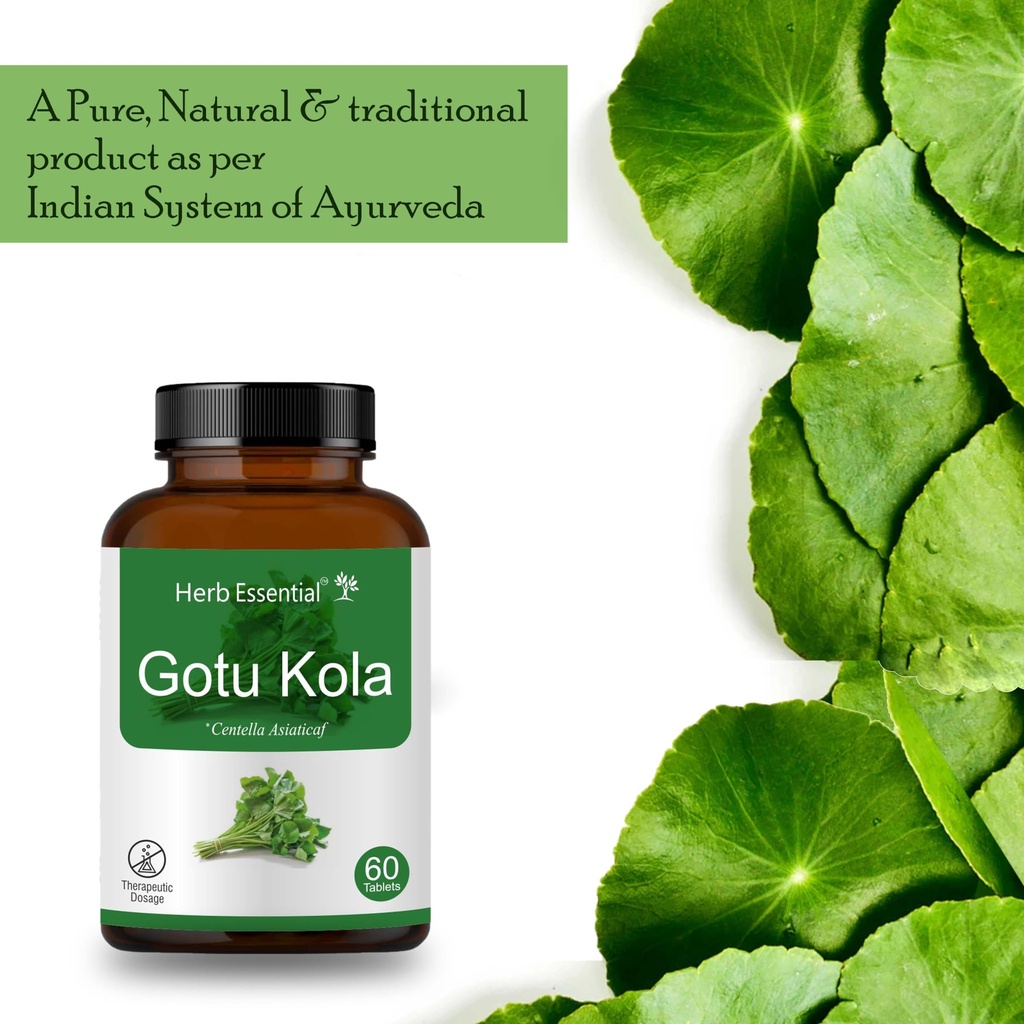 herb-essential-organic-gotu-kola-centell-6.jpg