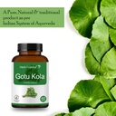 herb-essential-organic-gotu-kola-centell-6.jpg