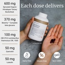 big-bold-health-microbiome-rejuvenate-pr-3.jpg