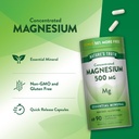 nature-s-truth-magnesium-oxide-500mg-cap-5.jpg