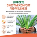 aloe-vera-leaf-and-latex-digestive-liver-2.jpg