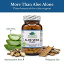 pure-mountain-botanicals-aloe-vera-capsu-3.jpg