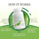 aloecure-digestion-support-pack-grape-fl-4.jpg