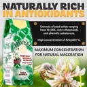 ponlee-brazilian-green-bee-propolis-extr-3.jpg
