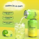 recess-mood-lime-citrus-functional-spark-6.jpg
