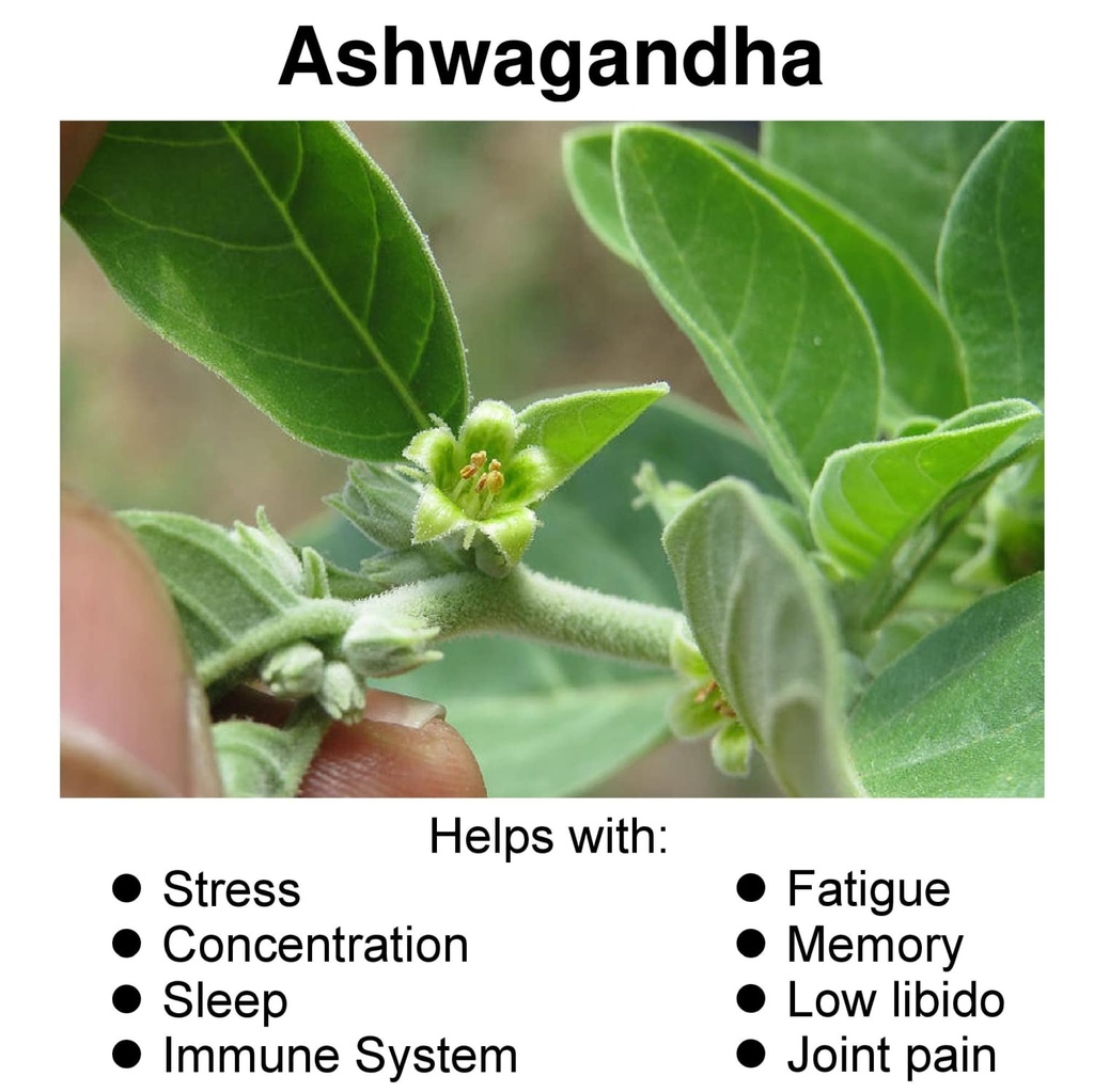 hybrid-nutraceuticals-organic-ashwagandh-2.jpg