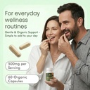 ashwagandha-500-mg-capsules-withania-som-6.jpg