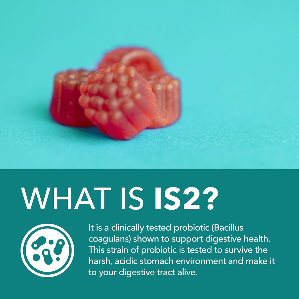 probiotic-gummies-berry-60ct-digestive-s-6.jpg