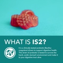 probiotic-gummies-berry-60ct-digestive-s-6.jpg