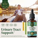 herbamama-stinging-nettle-leaf-tincture--2.jpg
