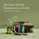 gaia-herbs-nettle-leaf-supplement-with-s-2.jpg