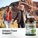 bio-krauter-stinging-nettle-for-seasonal-2.jpg