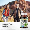 bio-krauter-stinging-nettle-for-seasonal-2.jpg
